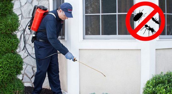 Isparta Gümüşkurt İlaçlama böcek ilaçlama ve haşere kontrolü — ilaclama-tr.com